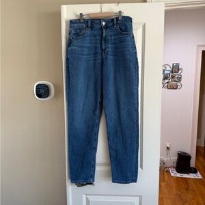 American Eagle Outfitters Blue Stretch Jeans